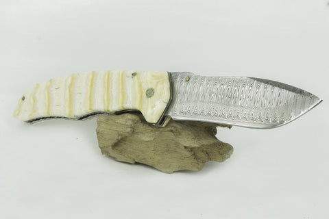 “MAMMOTH TOOTH” knife with Damascus blade