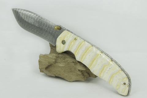 “MAMMOTH TOOTH” knife with Damascus blade