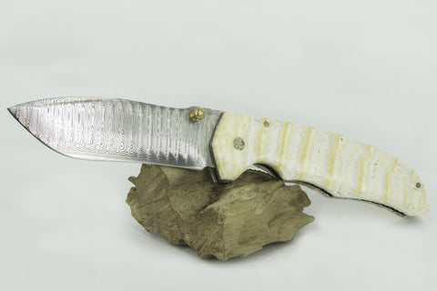 “MAMMOTH TOOTH” knife with Damascus blade