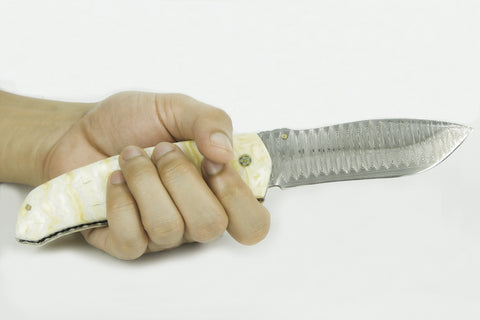 “MAMMOTH TOOTH” knife with Damascus blade